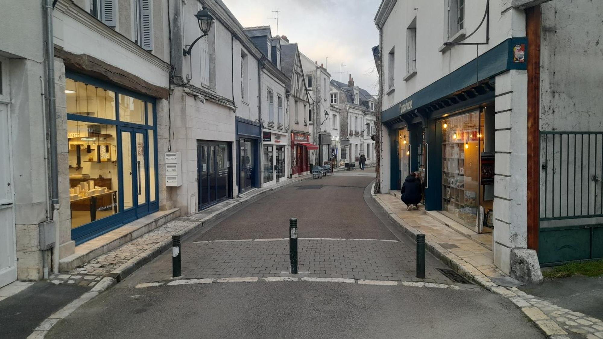 Escale Au Pied Du Chateau Amboise Eksteriør bilde