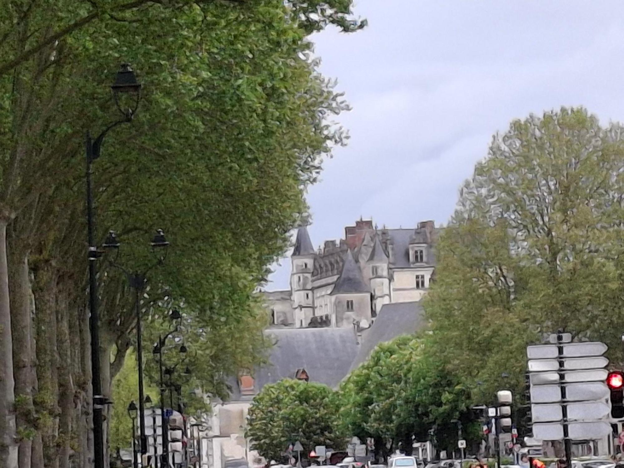 Escale Au Pied Du Chateau Amboise Eksteriør bilde